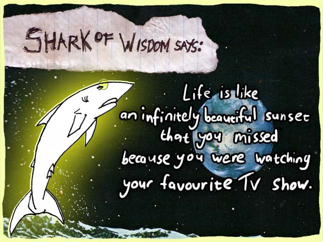 Life is an infinitely beautiful sunset that you missed because you were inside, watching your favourite TV show.