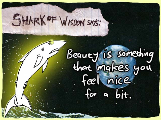 Beauty is something that makes you feel nice for a bit.