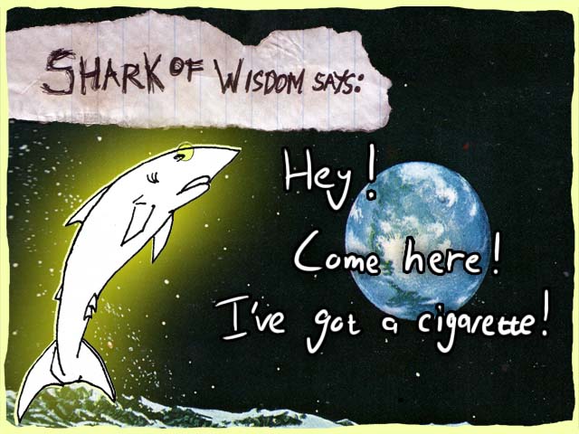 Hey! Come here!