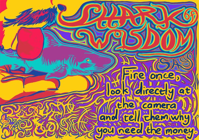 Fire once, look directly at the camera, tell them why you need their money.