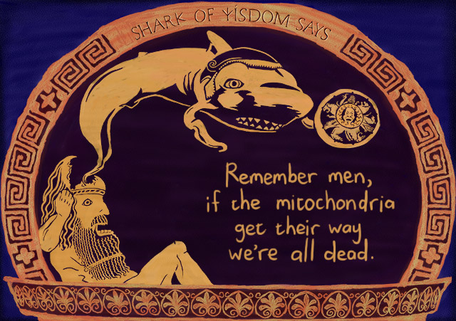 Remember men, if the mitochondria get their way we're all dead.