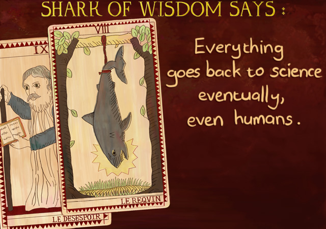 Shark Of Wisdom's fingers smell like Monster Munch.